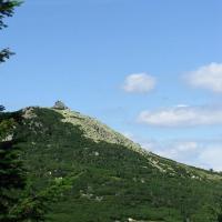 Szrenica, Alek