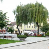 , Arkadiusz Musielak