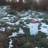 Śnieg sprzed tygodnia, Adam Prończuk