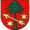 Herb Gminy, Arkadiusz Musielak