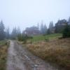, michal