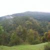 , michal