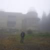 , michal