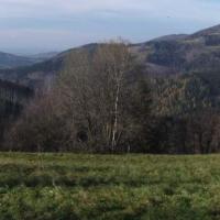 W dali Skoczów, Adam Prończuk