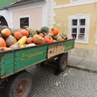 Rust - rynek, Adam Prończuk