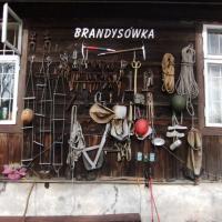 Brandysówka , Adam Prończuk