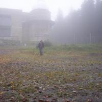 , michal