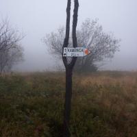 , michal