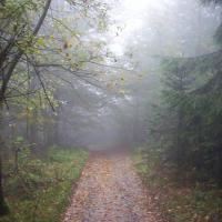 , michal