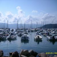 Lerici, iwona