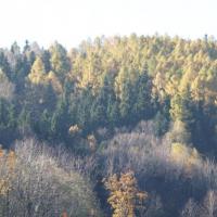 Dębowiec, Dariusz Cieśla