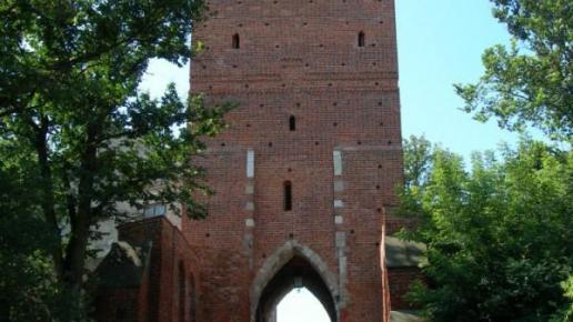 Sandomierz, Adam Prończuk