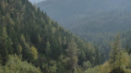 PIĘKNE TATRY BIELSKIE, elzbieta reimus