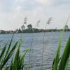 , Darek