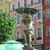 , Darek