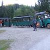 , Buszmen