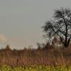 Biskupice - Olsztyn k./Częstochowy, Magdalena