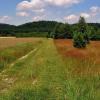 Biskupice - Olsztyn k./Częstochowy, Magdalena