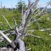 , Krzysztof