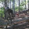 Tu też są dinozaury, obywatel Artur