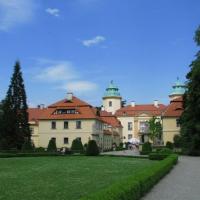 , Darek