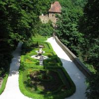 , Darek