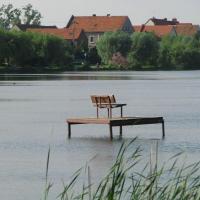 , Darek