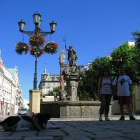 , Darek