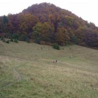 Wysoka, Mariusz Wiśniewski