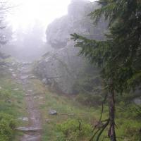 , Krzysztof