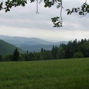 , Krzysztof