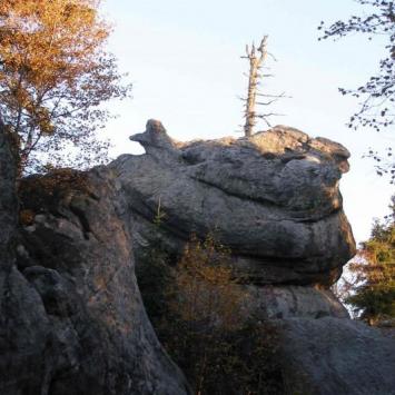 , Krzysztof