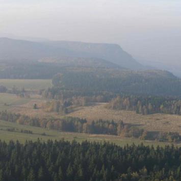 , Krzysztof