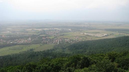, Darek