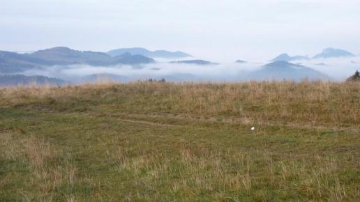 Pieniny, Mariusz Wiśniewski