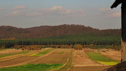 Biskupice - Olsztyn k./Częstochowy, Magdalena