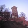 Baszta Sandomierska, Darek