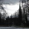 , Darek