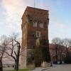 Baszta Złodziejska, Darek