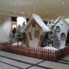 Galeria Krakowska, Darek
