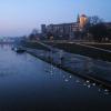 W oddali Wawel, Darek
