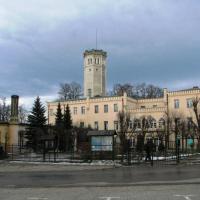 , Darek