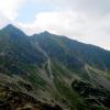 , Jarek