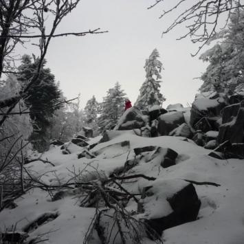 , Mariusz Wiśniewski