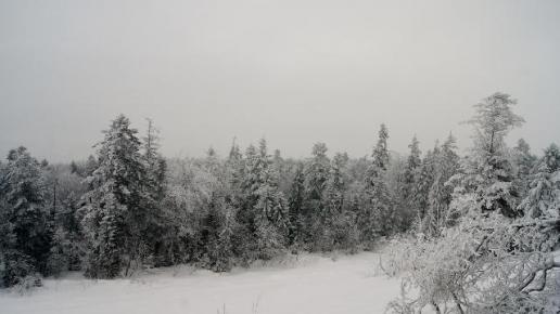 Widok z gołoborza, Wieslaw Bisaga