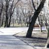 Park, Arkadiusz Musielak