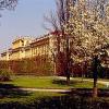 Wiedeń - Pałac Schonbrunn, monika