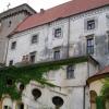 Otmuchów, Krzysztof Dorota
