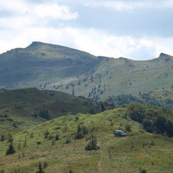 Tarnica, Tadeusz Walkowicz