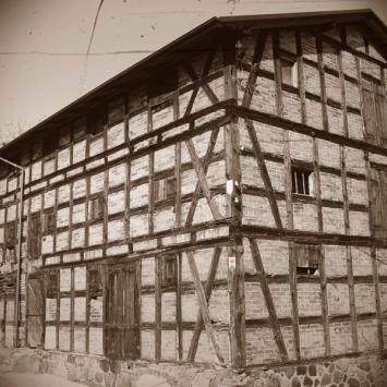 10, Michał Brakowski
